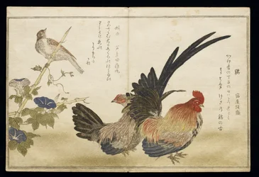 P.332-1946 t. 1 k. 8 Kogut i kura po prawej, z trznadlem po lewej, z albumu „Ptaki porównane w humorystycznych pieśniach” („Momo Chidori Kyoka Awase”), 1791