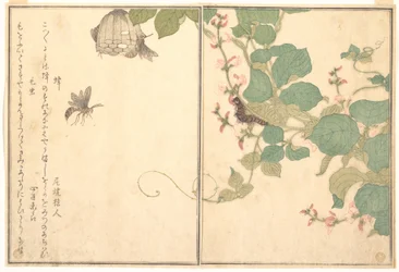 Osa papierowa (Hachi); włochata gąsienica (Kemushi), z Ilustrowanej księgi pełzających stworzeń (Ehon mushi erami)