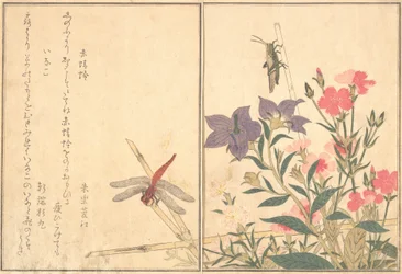 Czerwona ważka Akatonbo, Locust Inago..., 1788.