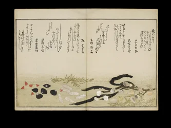 Shiohi no tsuto (Dary z odpływu), znany jako Księga Muszli, 1789 (kolorowy drzeworyt)