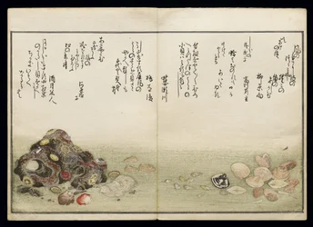 Shiohi no tsuto (Dary z odpływu), znany jako Księga Muszli, 1789 (kolorowy drzeworyt)