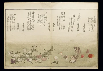 Shiohi no tsuto (Dary z odpływu), znany jako Księga Muszli, 1789 (kolorowy drzeworyt)