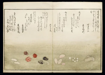 Shiohi no tsuto (Dary z odpływu), znany jako Księga Muszli, 1789 (kolorowy drzeworyt)