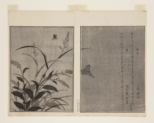 Tree Cricket (Matsumushi) i Firefly (Hotaru) (kolorowy drzeworyt)