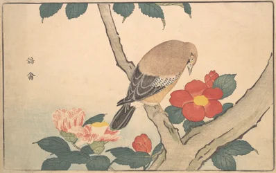 Kamelie z ptakiem, 1789.