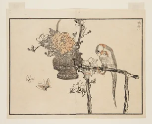 Parrot (Inko) (kolorowy drzeworyt)