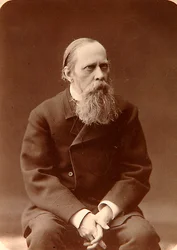 Michaił Saltykov-Szczedrin, rosyjski pisarz, lata 80. XIX wieku