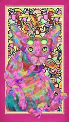 Kot rasy sphinx o psychodelicznym wyglądzie