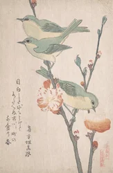 Japońskie białooki na gałęzi brzoskwini,..., ca. 1805-10.