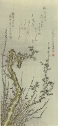Stara Śliwa, 1796.