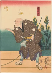 Shirotayû z dwoma motylami