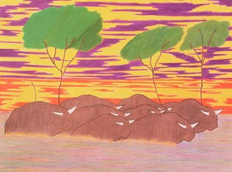 March of the Water Buffalo, 2004 (kolorowy ołówek na papierze)