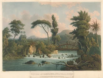 Rzeka Cabaritta, z Six Views in the Island of Jamaica, litografia I. Merigot