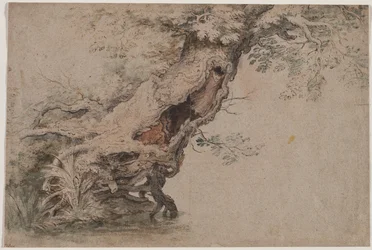 Puste drzewo, wg Roelant Savery, po 1670 r.