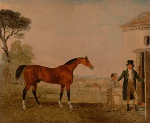 „Sultan” w pracowni markiza Exeter, Burghley House