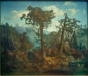L.Hertervig, Stare Sosny