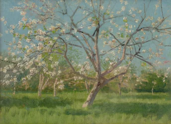 Kwitnące drzewa sadownicze, 1900-10
