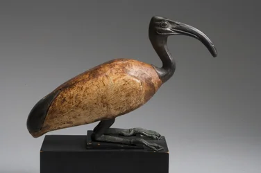 Ibis (brąz i drewno)