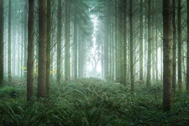 Bramble Path, 2023 r. (zdjęcie)