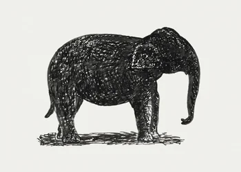 Elephant (ok. 1891–1941)