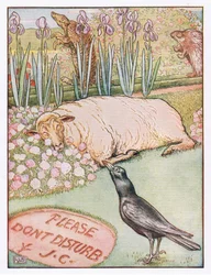 A owce poszły spać, ilustracja z „Przyjęcia Johnny Crow”, ok. 1930 r.
