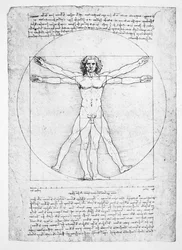 Proporcje postaci ludzkiej (według Witruwiusza), ok.1492 (faksymile)