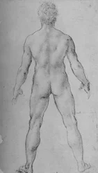 Nagi mężczyzna widziany z tyłu, c1480 1945