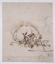 Jednorożec zanurzający róg w kałuży wody, ok.1481 (pióro, atrament i metalowy czubek na papierze)