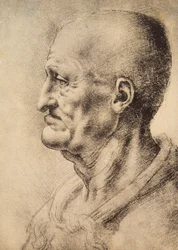 Mężczyzna przedstawiony z profilu, rysunek Leonarda da Vinci, zachowany w Sali Rysunków i Grafiki, Galeria Uffizi, Florencja.