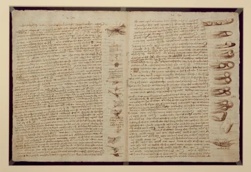 Strona z Codex Leicester, 1508-12 (tusz sepia na papierze lnianym)