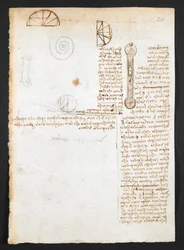 Arundel 263, f.211r Notatki, szkice i diagramy z „Codex Arundel” (pióro i tusz na papierze)