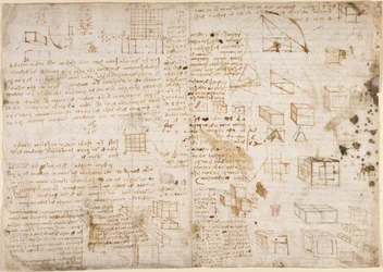 Arundel 263, f.223v Notatki i diagramy z „Codex Arundel” (pióro i atrament na papierze)