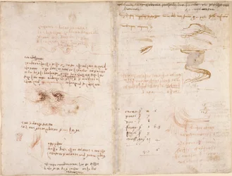 Arundel 263, f.278v, f.271 Notatki o poczuciu rzeczywistości w snach, na wodzie, sicie rzeki i Arno (do góry nogami), z „Codex Arundel” (pióro i atrament na papierze)