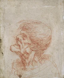 Karykaturalne studium głowy starca, ok. 1500-05 (czerwona kreda na papierze)