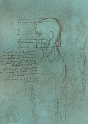 Rysunek ilustrujący teorię proporcji postaci ludzkiej, c1472-c1519 1883.