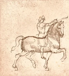 Rysunek chodzącego konia, c1472-c1519 1883