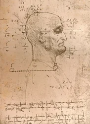 Rysunek głowy przestępcy, c1472-c1519 1883