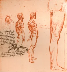 Rysunki przedstawiające ruchy postaci ludzkiej i walczących wojowników, c1472-c1519 1883