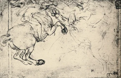Walka między jeźdźcem a gryfem, ok. 1480 1945 r.