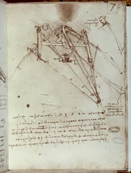 Rysunek maszyny latającej. Rękopis Leonarda da Vinci
