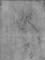 Głowa i popiersie starego człowieka po lewej, c1480 1945