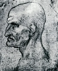 Głowa starego człowieka, 1913
