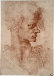 Leonardo da Vinci (Leonardo da Vinci) (1452 - 1519): Karykaturalny portret młodego mężczyzny (Imagine)