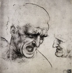 Leonardo da Vinci (Leonardo da Vinci) (1452 - 1519): Studium do bitwy pod Anghiari (Wyobraź sobie)
