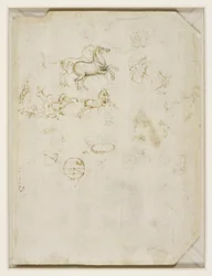 Leonardo da Vinci - Verso Pędzące konie i głowa Nerona ok. 1503-4