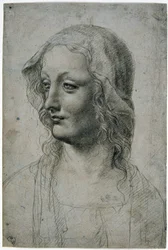 Maestro della Pala Sforzesca (mediolański uczeń Leonarda da Vinci), głowa kobiety z welonem, być może studium dla Dziewicy, GDSU 426 E