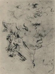 Profil mężczyzny po prawej, ok. 1480 1945 r