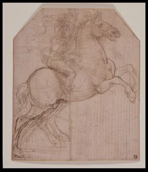 Jeździec na koniu hodowlanym, ok.1481-82 (silverpoint, długopis i brązowy tusz na przygotowanym papierze)