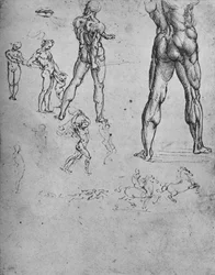 Studia nagiego żołnierza z mieczem i mniejszymi szkicami, c1480 1945