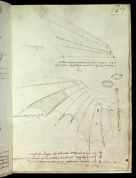 Skrzydło. Latająca maszyna rysunek. Rękopis Leonarda De Vinci (Leonardo da Vinci